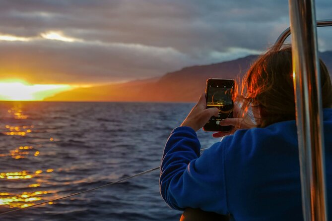 Sunset Catamaran Tour l Madeira Island - Key points at a glance