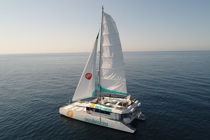 Sunset or night catamaran tour from Malaga - Night sailing and the city after dark