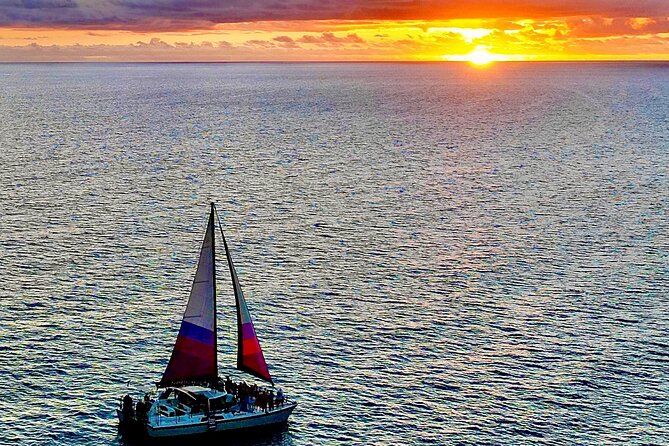 Sunset Sailing on a Floating Tiki Bar Charming Hawaiian Catamaran - Wildlife, with the best odds from December through April