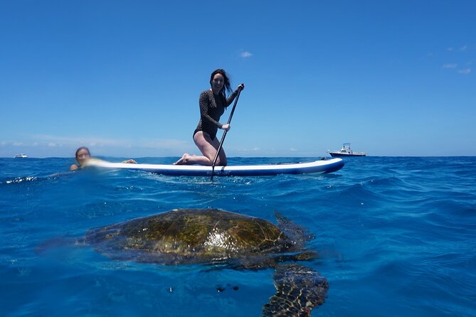 Swim with Dolphins Catamaran with Waterslide & Lunch on Oahu - Makaha snorkeling with turtles and reef fish