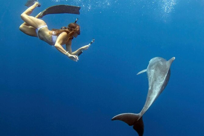 Swim with Dolphins Catamaran with Waterslide & Lunch on Oahu - The experience for children and new snorkelers