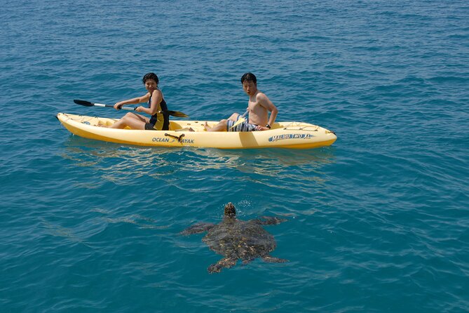 Swim with Dolphins Catamaran with Waterslide & Lunch on Oahu - How the $199 price measures up