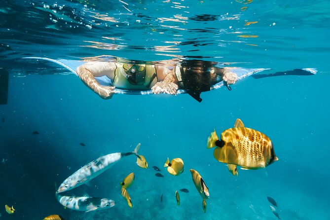 Swim with Dolphins Catamaran with Waterslide & Lunch on Oahu - Lunch, drinks, and what is actually included