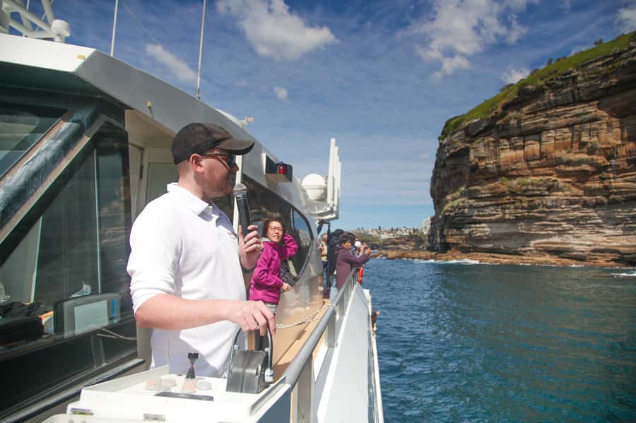 Sydney: Discovery Whale Watching Tour by Catamaran - Rough seas and seasickness