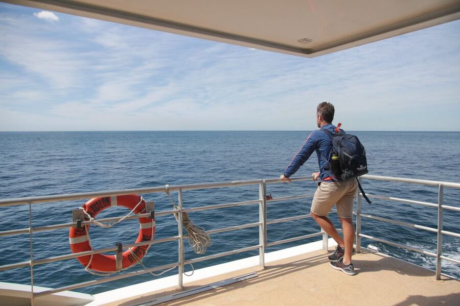 Sydney: Discovery Whale Watching Tour by Catamaran - How much value do you get for $63?