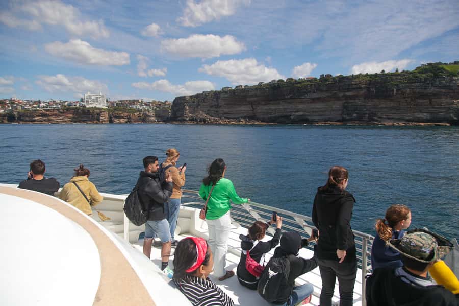 Sydney: Discovery Whale Watching Tour by Catamaran - Should you book the Sydney whale-watching catamaran?