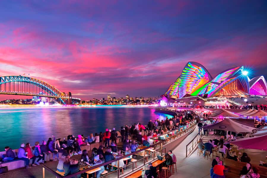Sydney: Premium Catamaran Vivid Cruise with Welcome Drink - Why the harbour is the best place to see Vivid Sydney