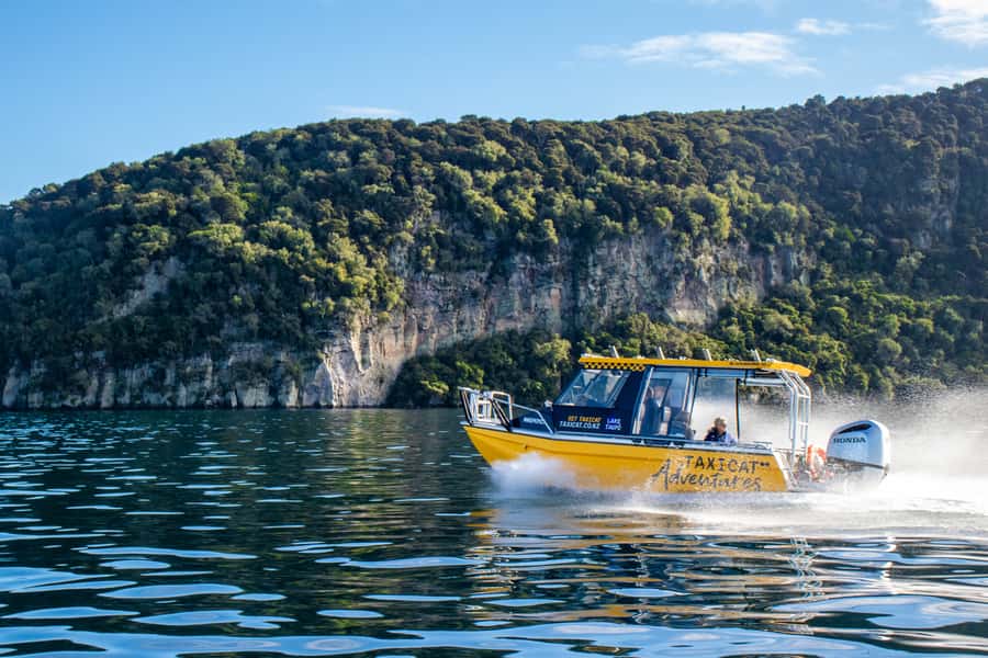 Taupo: Lake Taupo Western Bays Catamaran Tour with Bush Walk - Key points to know before you book
