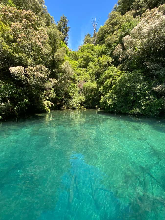Taupo: Lake Taupo Western Bays Catamaran Tour with Bush Walk - Cruising the cliffs and smaller waterfalls