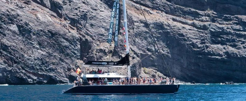 Tenerife: Catamaran Cruise with an Open Bar - Choosing between the 3-hour and 4.5-hour cruise