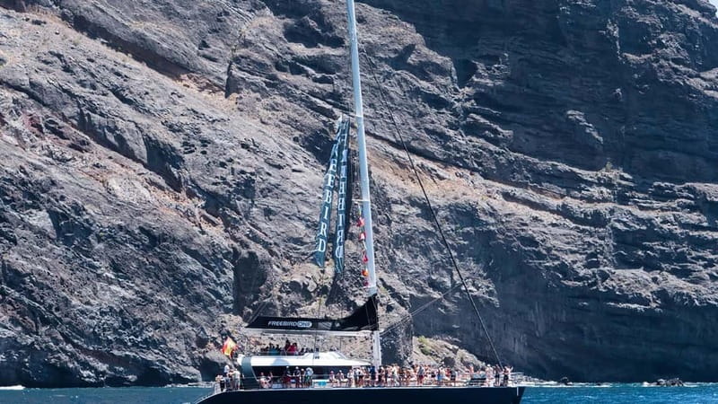 Tenerife: Catamaran Cruise with an Open Bar - What the western coast looks like from the water