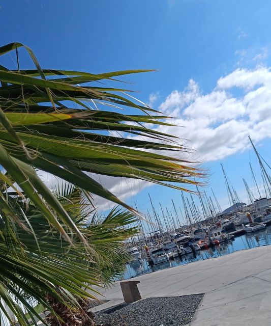 Tenerife: PRIVATE Catamaran cruise with Lunch and Drinks - Who will enjoy this private charter