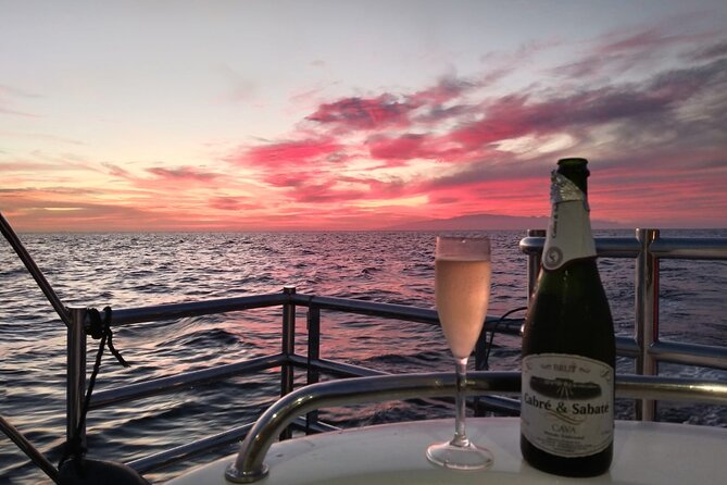 Tenerife Sunset Catamaran tour with transfer - Food and Drinks included. - Sunset views, with one important timing warning