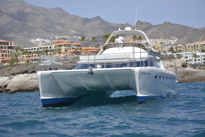 Tenerife Sunset Catamaran tour with transfer - Food and Drinks included. - What the $75.01 price really covers