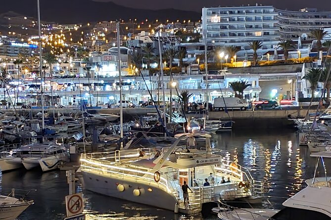 Tenerife Sunset Catamaran tour with transfer - Food and Drinks included. - The search for pilot whales and dolphins