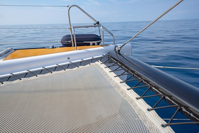 Tenerife Whales and Dolphins Watching Experience in Catamaran - The cove stop and the limits of snorkeling