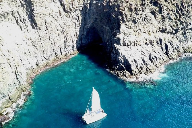 Tenerife Whales and Dolphins Watching Experience in Catamaran - What the three hours feel like