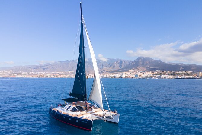 Tenerife Whales and Dolphins Watching Experience in Catamaran - Comfort, crew, and the family factor