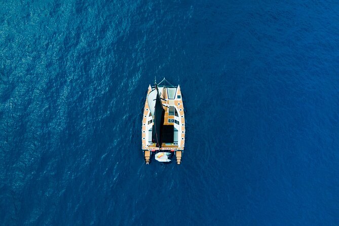 Tenerife Whales and Dolphins Watching Experience in Catamaran - Weather, cancellation, and practical planning