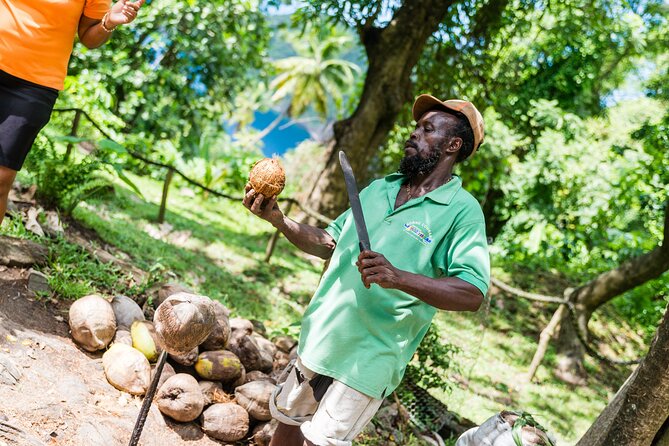 Tet Paul Hike & Soufriere Catamaran Experience - Pigeon Island appears first from the water