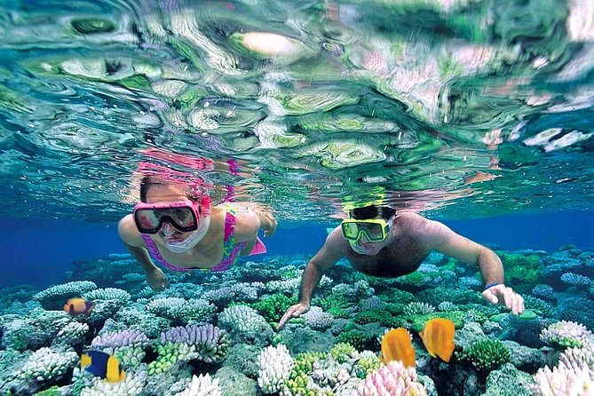 The Best Catamaran Tour to Isla Mujeres from Cancún - Lunch, drinks, and the private beach club