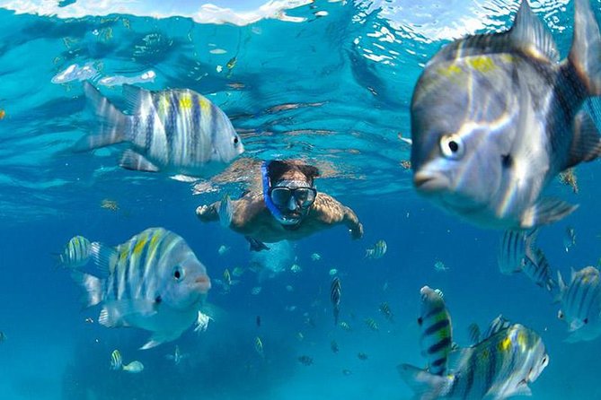 The Best Catamaran Tour to Isla Mujeres from Cancún - What the $68 price really covers