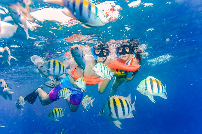 The Best Catamaran tour to Isla Mujeres with Open Bar and Lunch - Pickup, timing, and the return ride