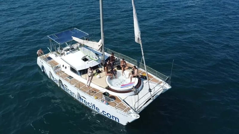 Torrevieja: Catamaran cruise and sunset with swimming - Swimming, snorkeling, and marine life