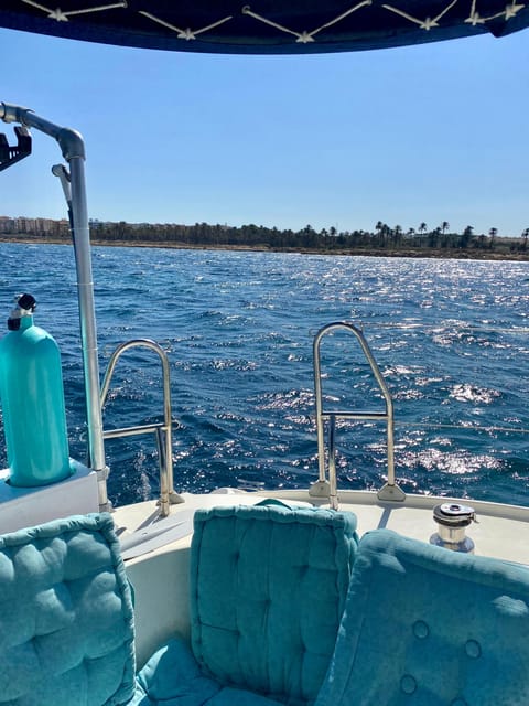 Torrevieja: Costa Blanca Catamaran Cruise - Who will enjoy this Torrevieja cruise?