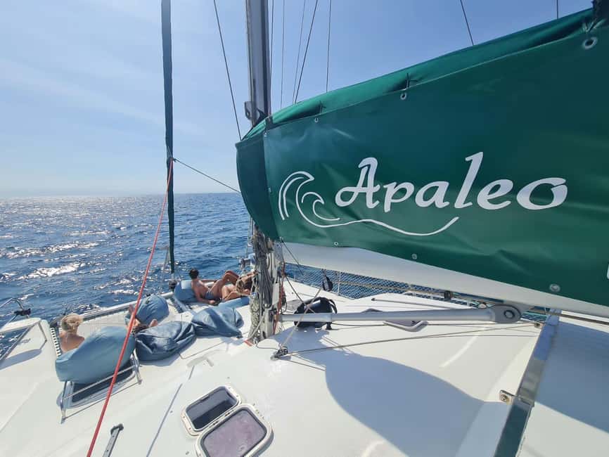 Torrevieja: Tour the harbor with the catamaran Apaleo - Key points to know before you board