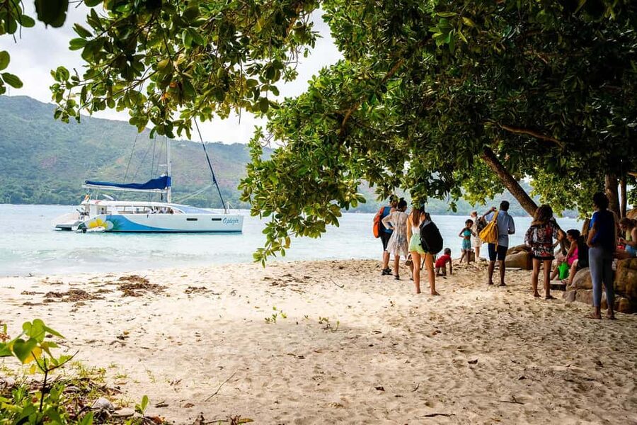 Tour of Cousin, Curieuse and St Pierre island on Catamaran - Cousin Island and its bird sanctuary