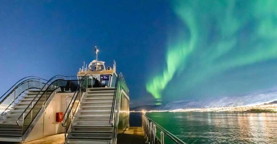 Tromsø: Aurora Dinner Cruise by Hybrid-Electric Catamaran - What the three-hour itinerary feels like
