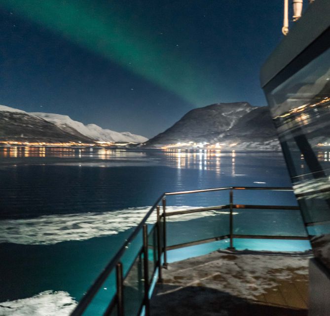 Tromsø: Aurora Dinner Cruise by Hybrid-Electric Catamaran - Who should book this Tromsø cruise?