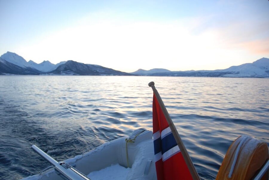 Tromsø: Fjord and Islands Luxury Catamaran Cruise - Should you book the Arctic Princess cruise?