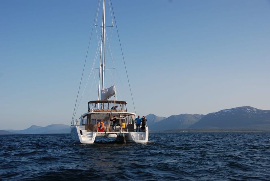 Tromsø: Fjord and Islands Luxury Catamaran Cruise - Is $208 a fair price for three hours?