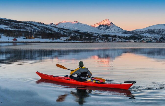 Tromsø, Northern Lights and Wilderness Evening Catamaran Cruise - Key points before you book