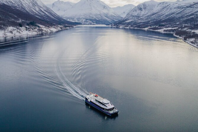 Tromsø, Northern Lights and Wilderness Evening Catamaran Cruise - How much value do you get for $158.20?
