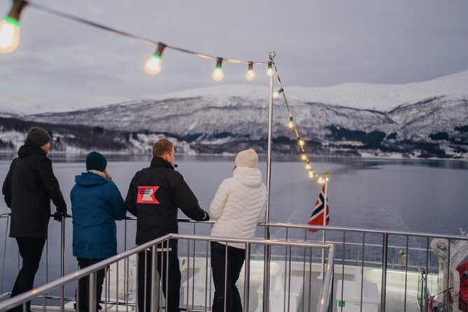 Tromsø, Northern Lights and Wilderness Evening Catamaran Cruise - Comfort, accessibility, and group size