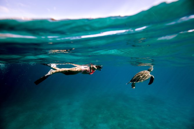 Turtle Cove Catamaran Snorkel and Sail at Little Buck Island STT - Quick points about Turtle Cove