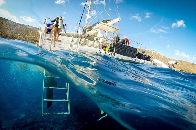 Turtles & Tacos Luxury Catamaran Snorkel - Families, couples, and non-swimmers