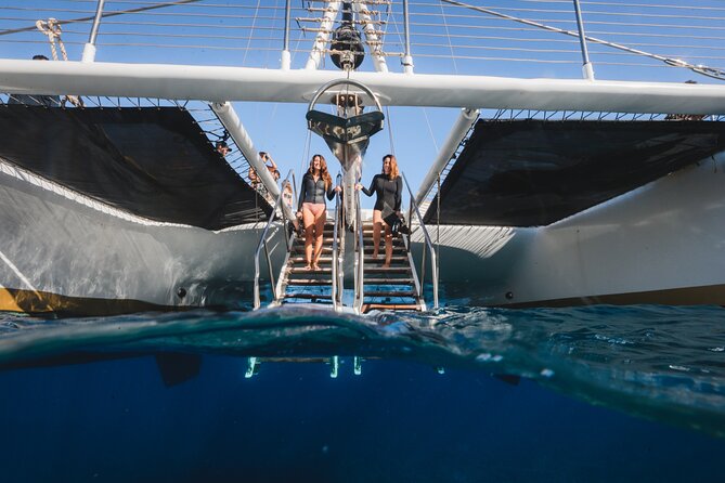 Turtles & Tacos Luxury Catamaran Snorkel - Should you book Turtles & Tacos?