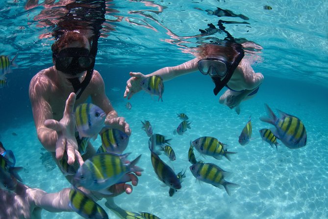 Up to 15 passengers Private Catamaran Sailing from Punta Cana - A compact three-hour schedule