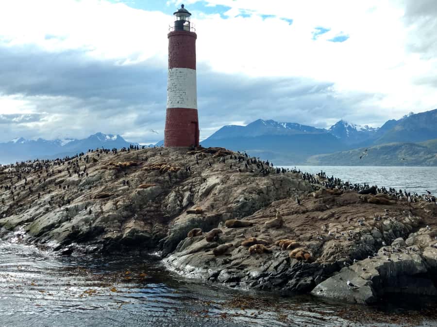 Ushuaia: Beagle Channel & Sea Wolves Island Catamaran Cruise - Price, crowds, and overall value