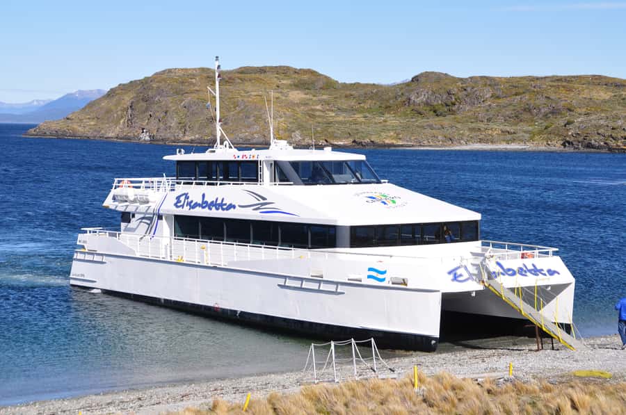 Ushuaia: Beagle Channel & Sea Wolves Island Catamaran Cruise - Who should book this cruise?