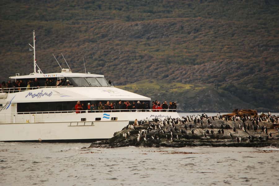 Ushuaia: Penguin Watching Tour by Catamaran - Bird Island: A Fast Lesson in Tierra del Fuego Wildlife
