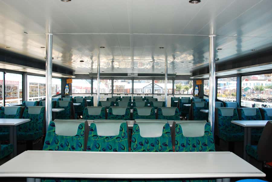 Ushuaia: Penguin Watching Tour by Catamaran - Sea Lion Island and the Bridges Archipelago