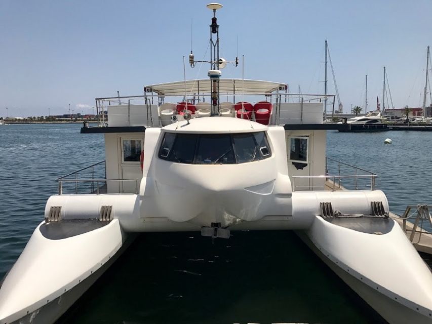 Valencia: Catamaran Cruise, Paella Lunch and Swim Stop - What makes this catamaran trip worth considering