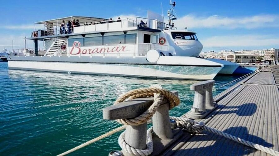 Valencia: Catamaran Cruise with Stop for Swimming - Key points to know before you book
