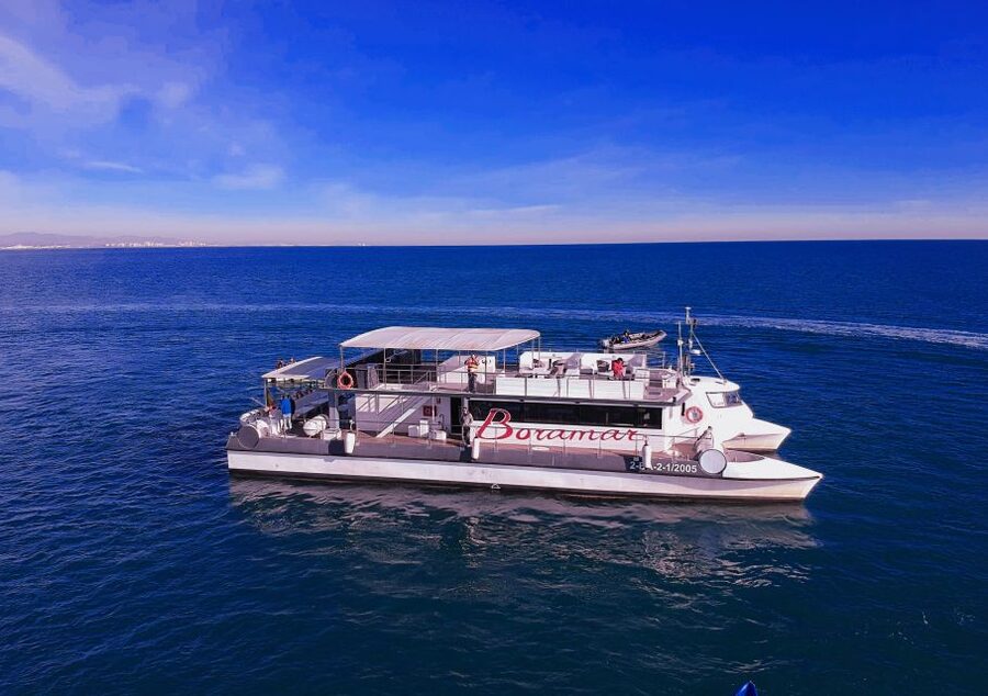 Valencia: Catamaran Cruise with Stop for Swimming - What the catamaran ride feels like