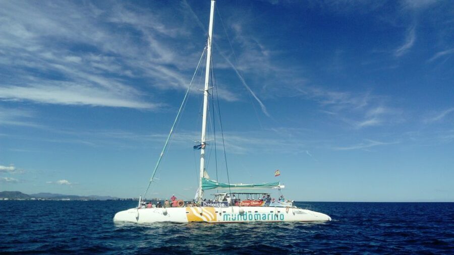 Valencia: Sailing Catamaran Cruise with Valencian Lunch - The swim stop near the shore
